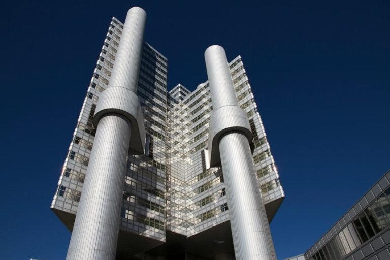 backlink development domain ranking