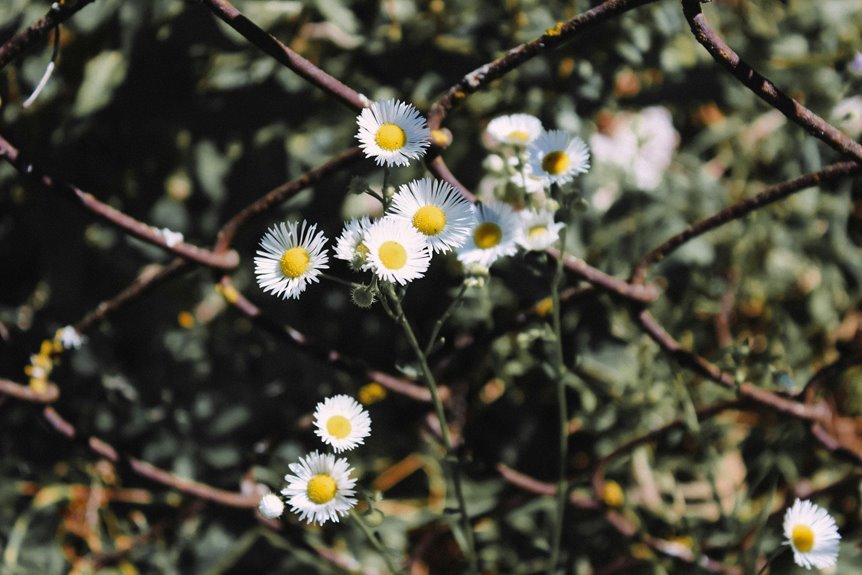 boost blog through linking